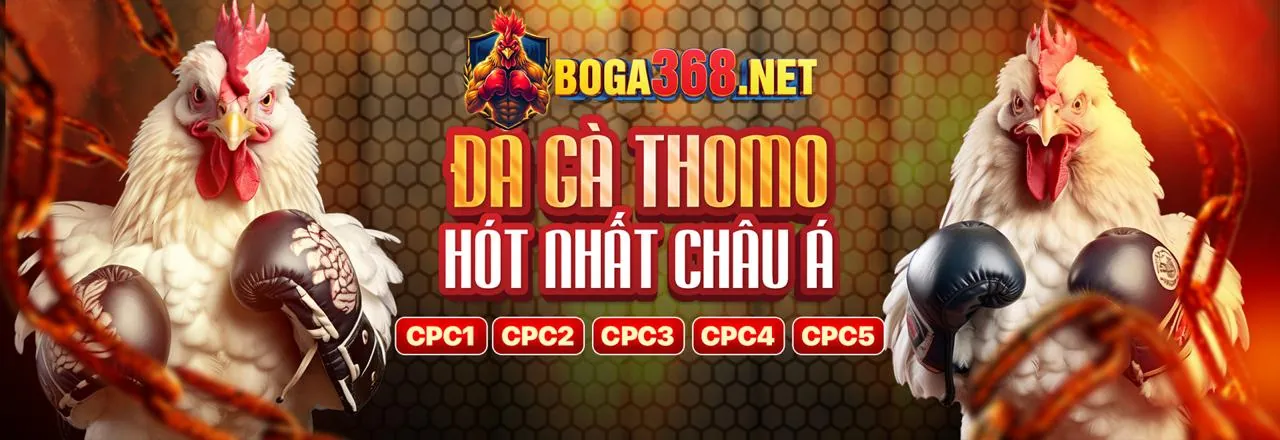 Sân chơi đá gà Thabet Casino trực tuyến sôi động